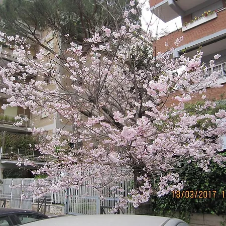 Magni N.30 Rome